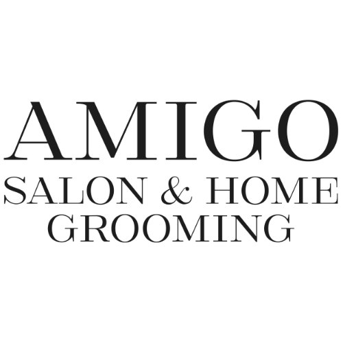 Логотип AMIGO